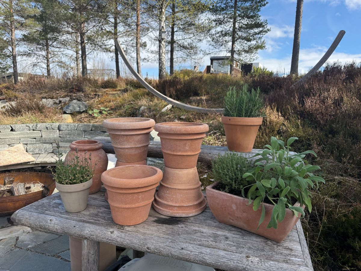 Takk til alle som besøkte åpen hage