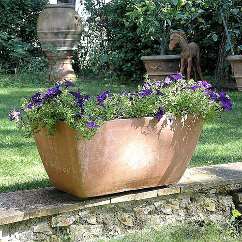 Cortile